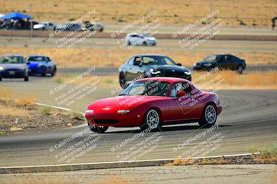 media/Sep-08-2024-VIP Trackdays (Sun) [[e20bd699b9]]/C Group/Session 2-Turns 4 and 6/